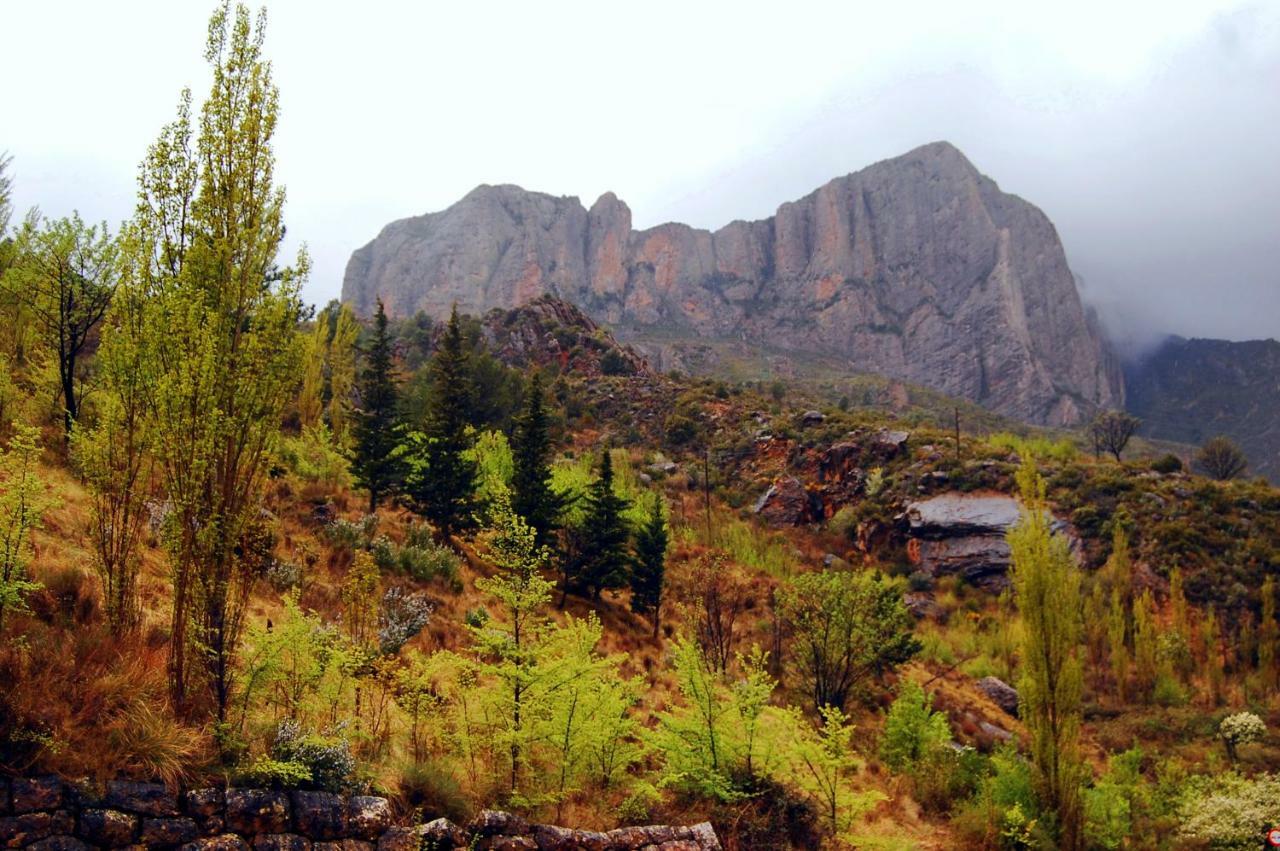 La Posada Del Arba El Frago Exteriér fotografie