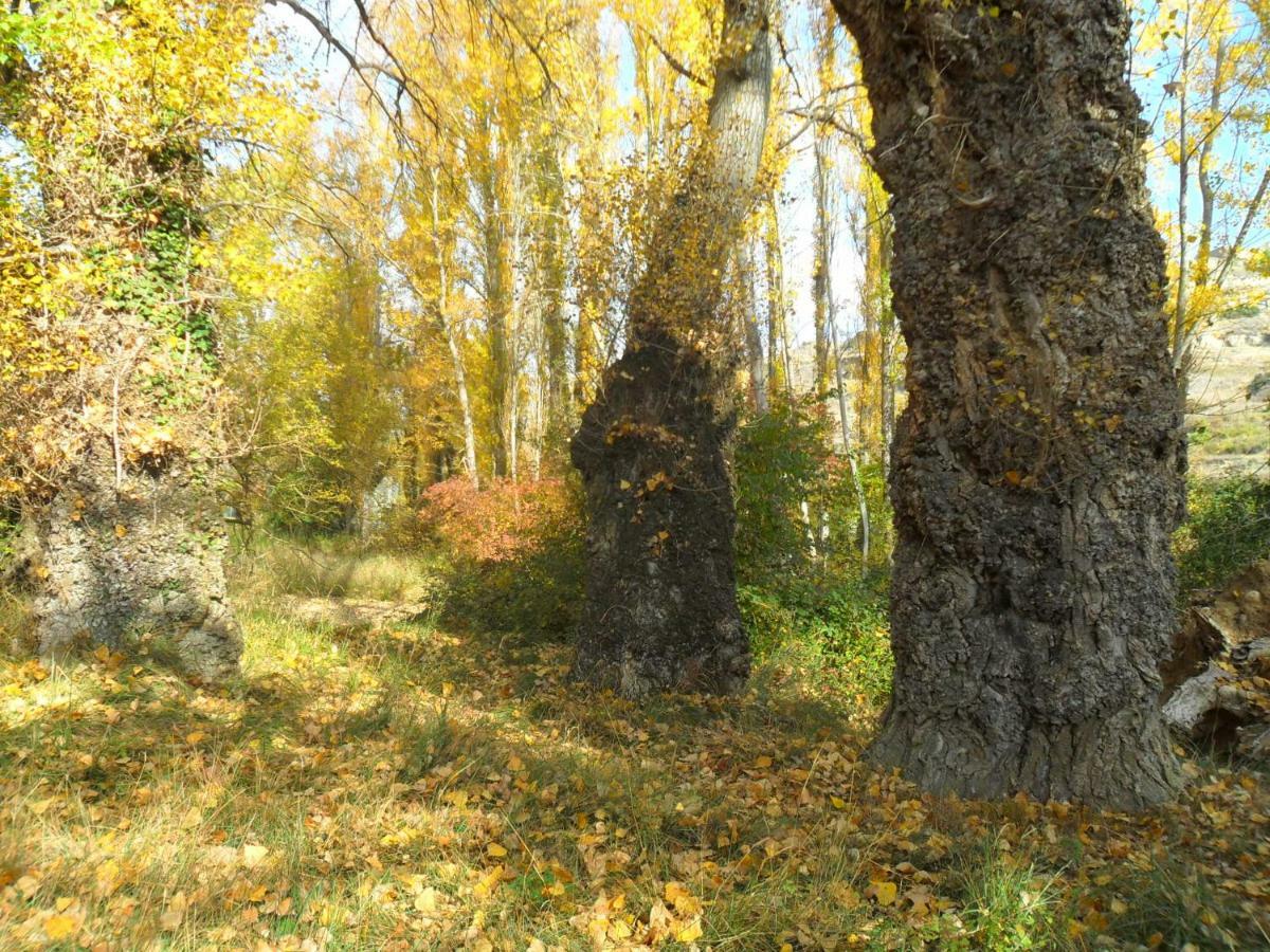 La Posada Del Arba El Frago Exteriér fotografie