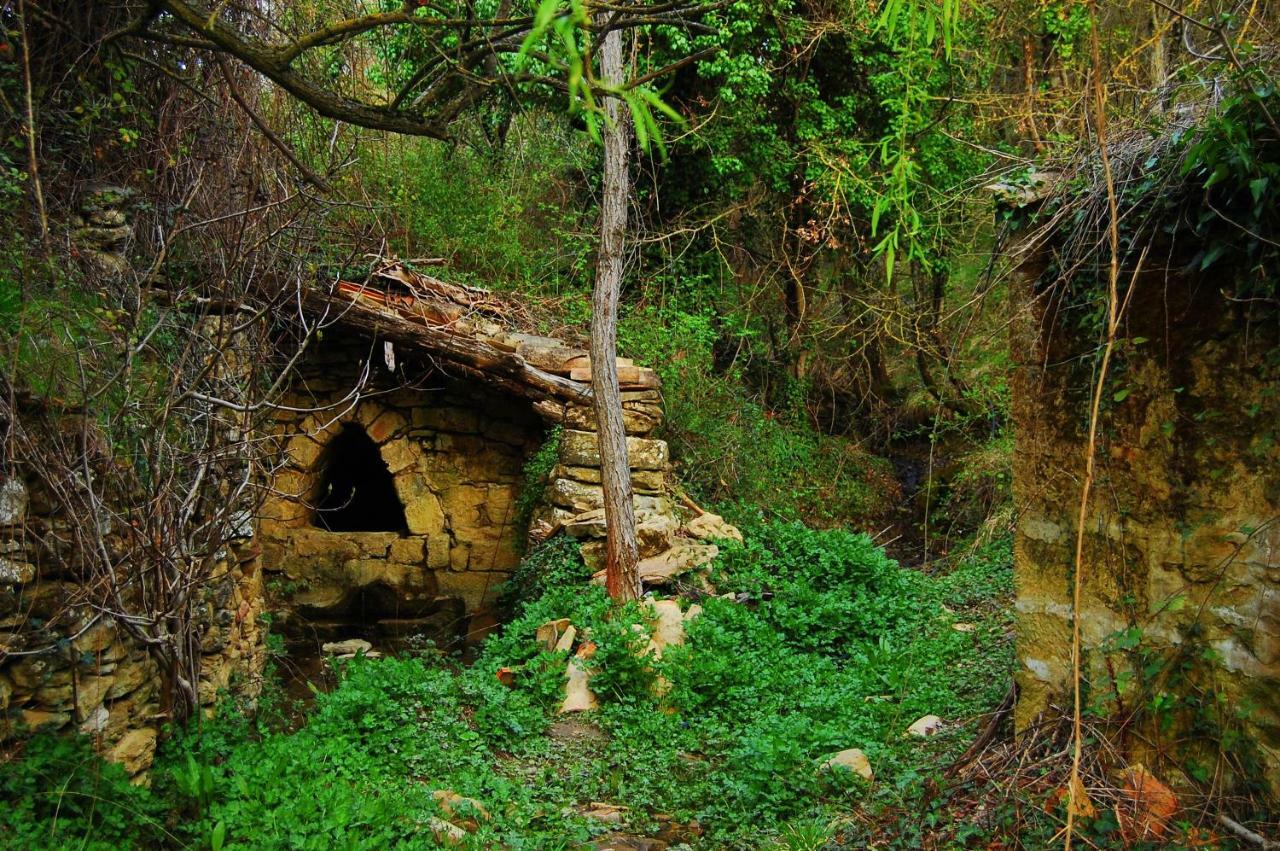 La Posada Del Arba El Frago Exteriér fotografie